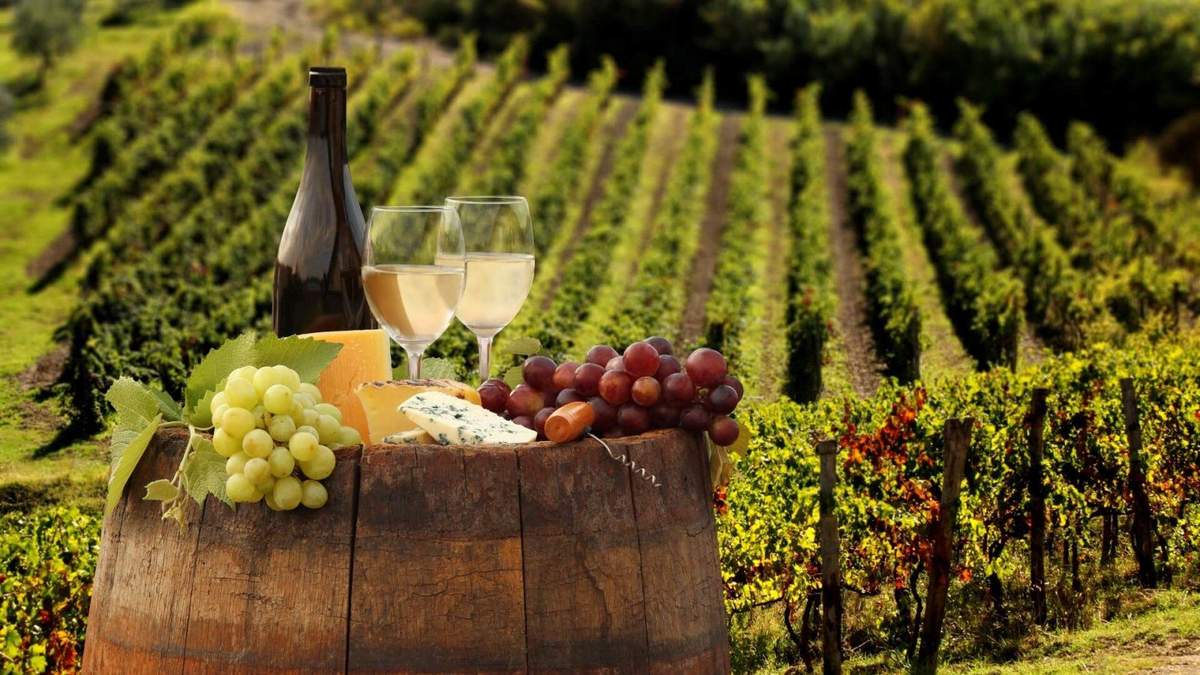 Как производят вино: технология и основные этапы