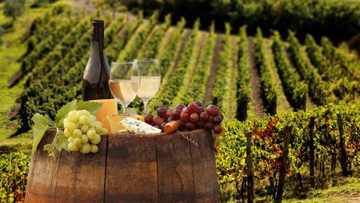 Як виробляють вино: технологія і основні етапи