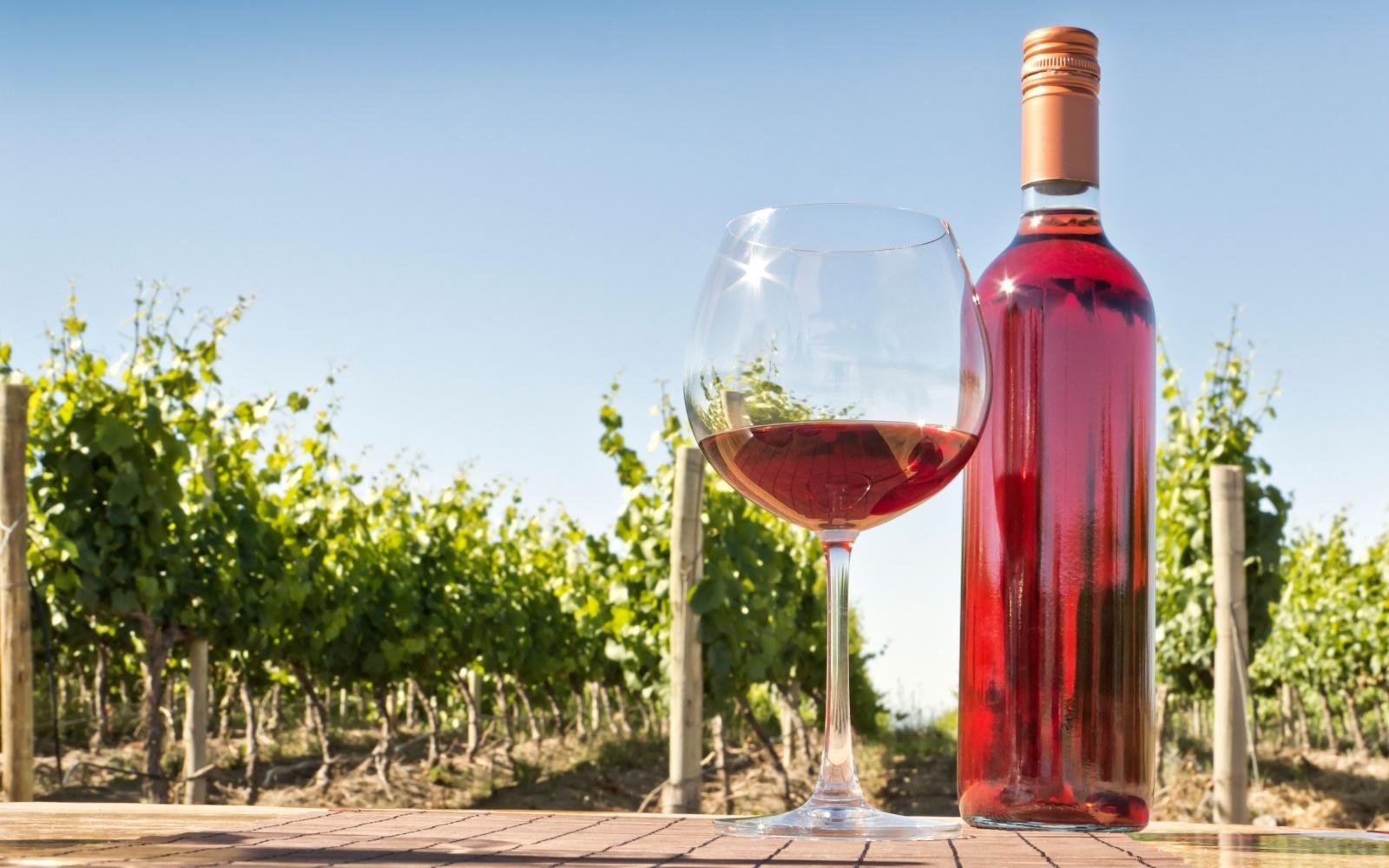 Рожеве вино: особливості, характеристики, як пити рожеве вино
