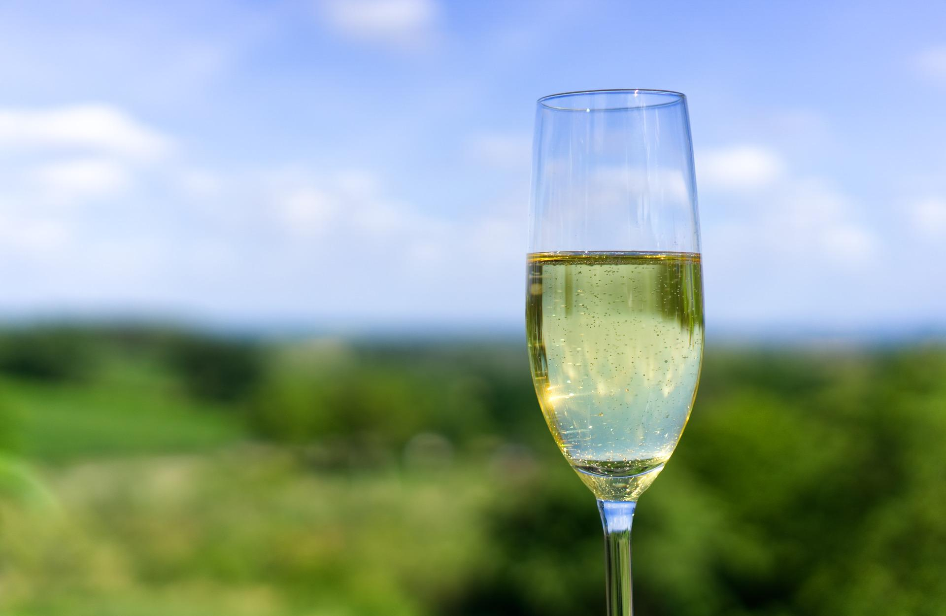 Шампанське, ігристе вино: цікаві факти