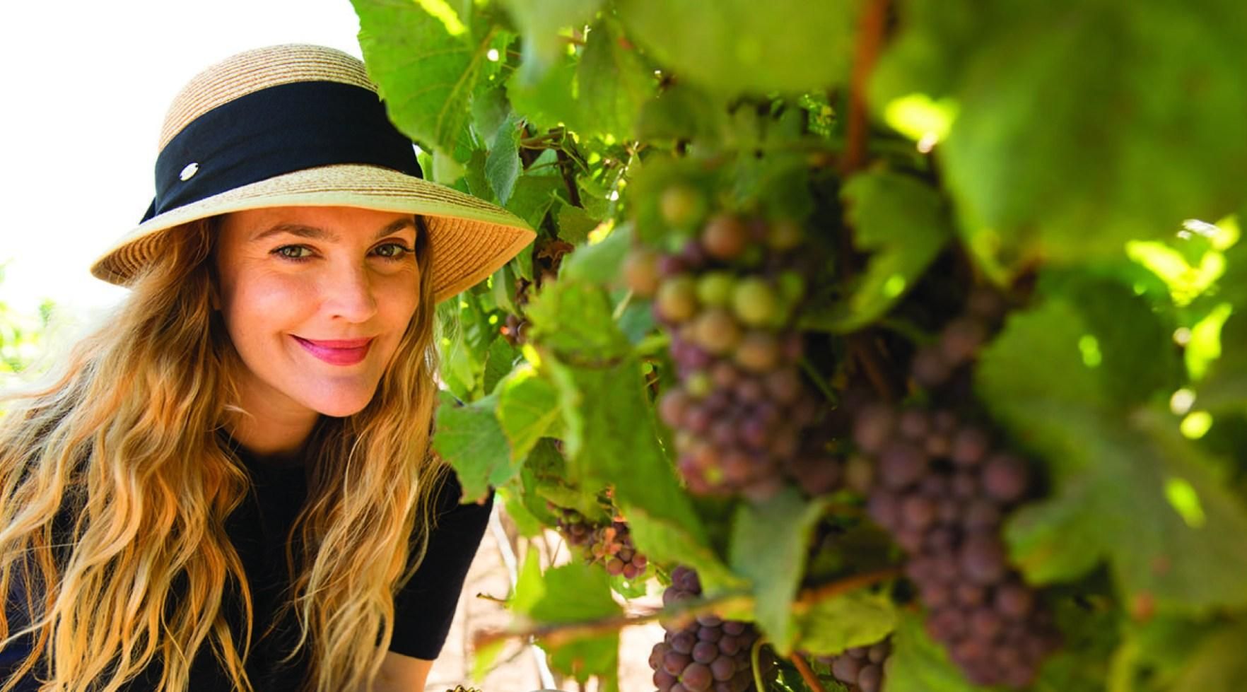 Які зірки мають власні винні бренди Які зірки мають власні винні бренди