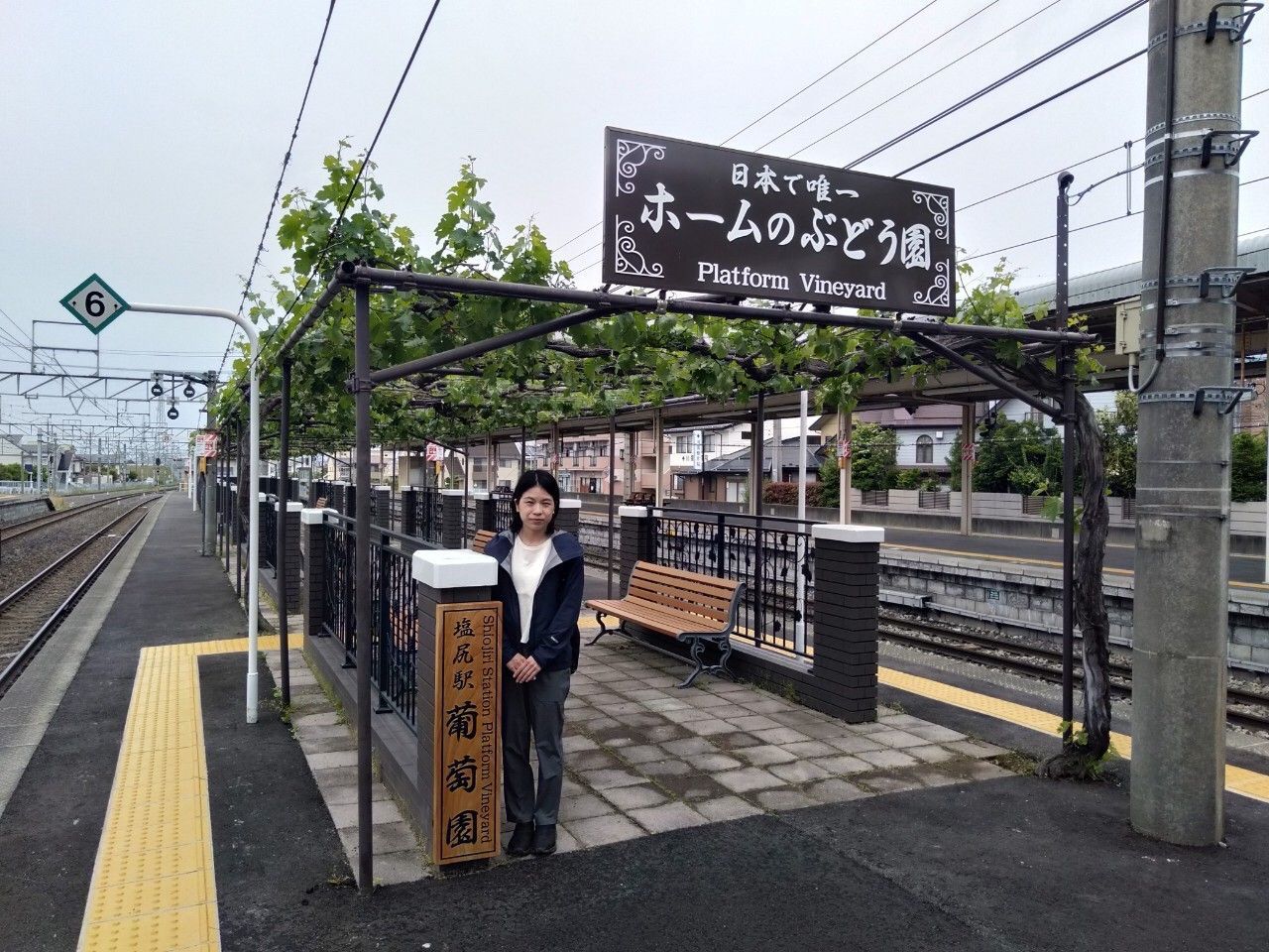 В Японії вокзал випустить власне вино: цікаві факти В Японії вокзал випустить власне вино: цікаві факти