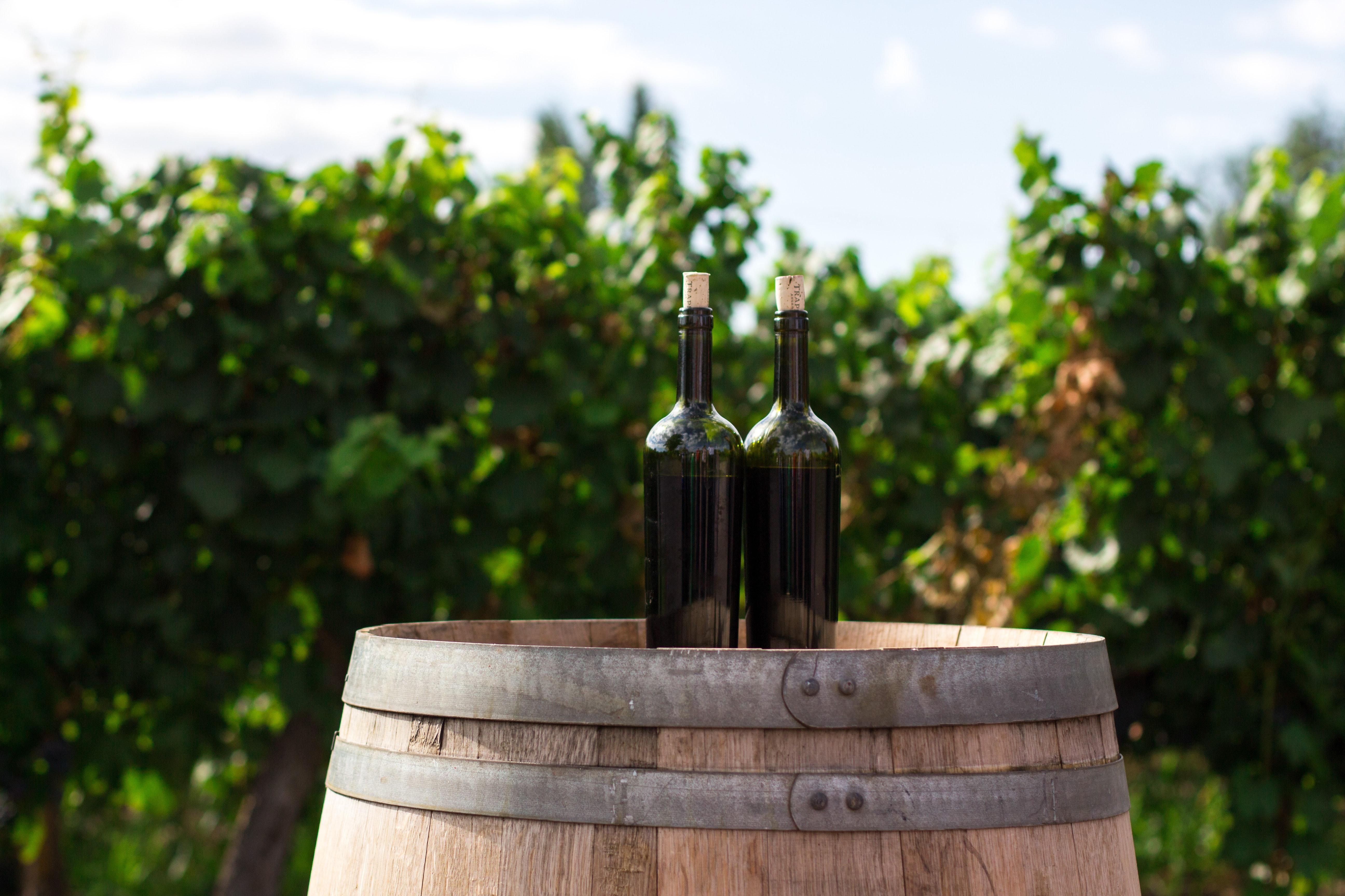 Сталь или дубовая бочка: как выдержка влияет на вино