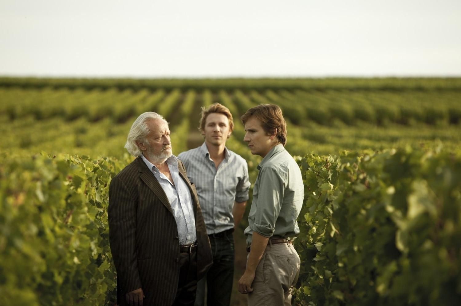 5 фильмов, которые стоит посмотреть ценителям вина 5 фильмов, которые стоит посмотреть ценителям вина