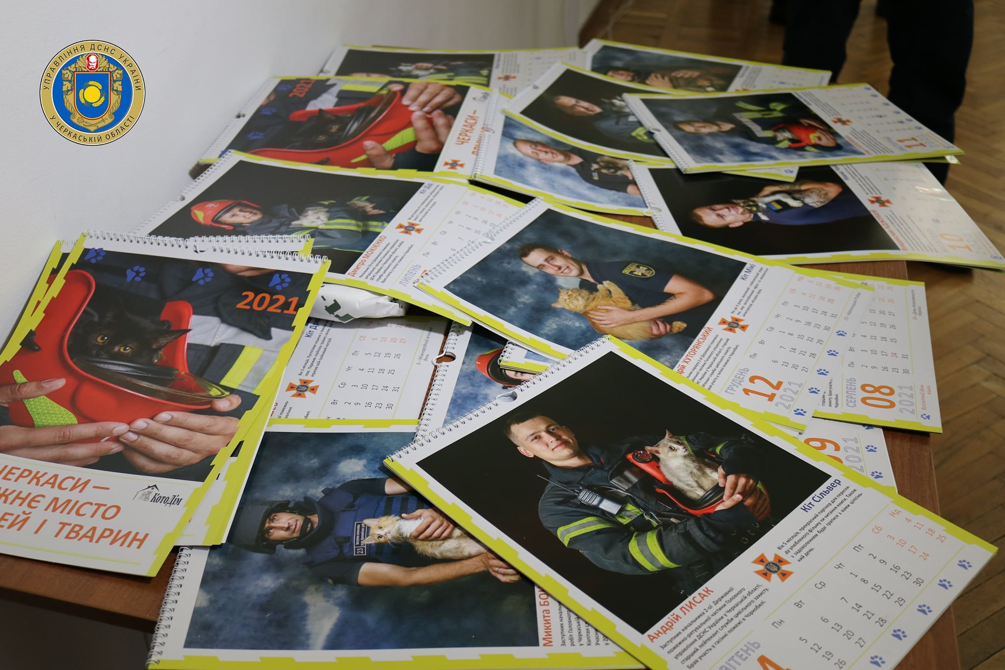 Черкасские спасатели с котами в благотворительном календаре: фото Черкасские спасатели с котами в благотворительном календаре: фото