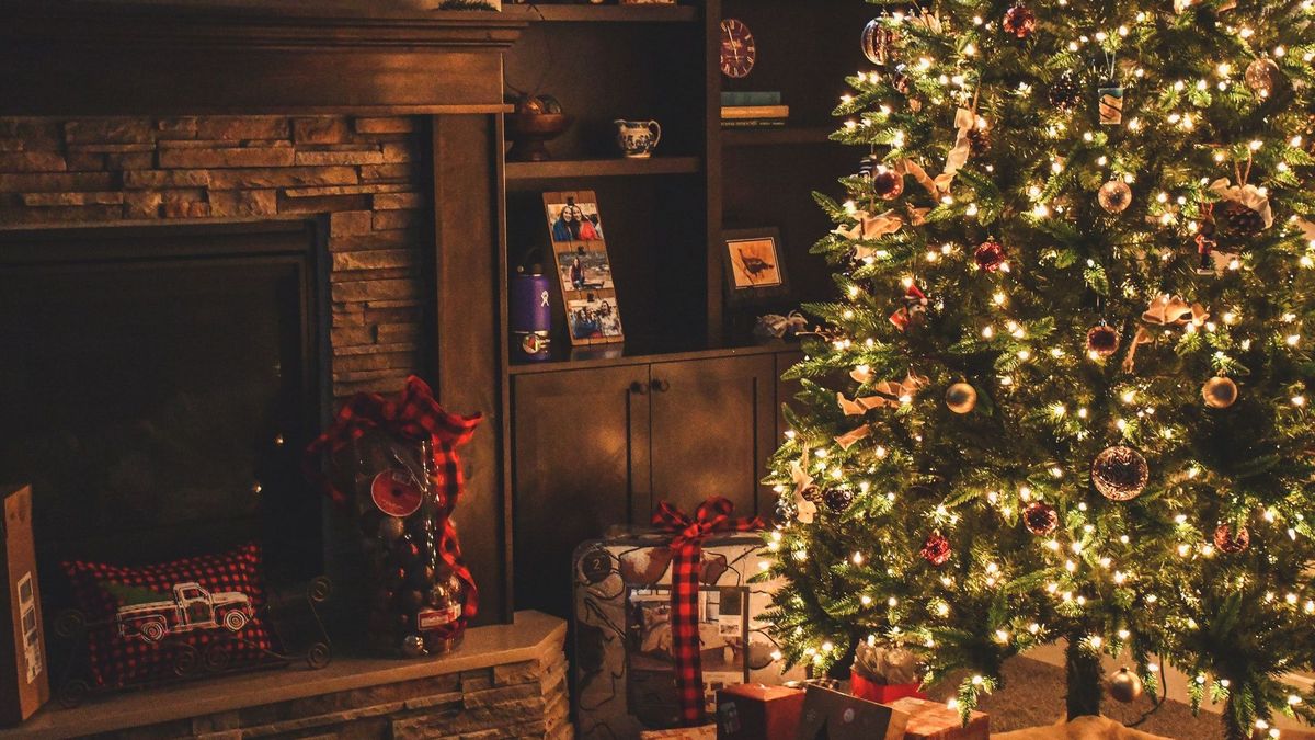 Как ухаживать за новогодней елкой, чтобы она простояла долго: 6 полезных советов
