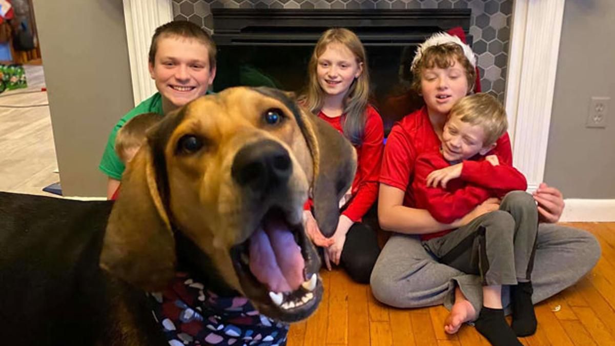 Безсовісний песик раптово увірвався на різдвяну фотосесію сім'ї: тепер він зірка Інтернету
