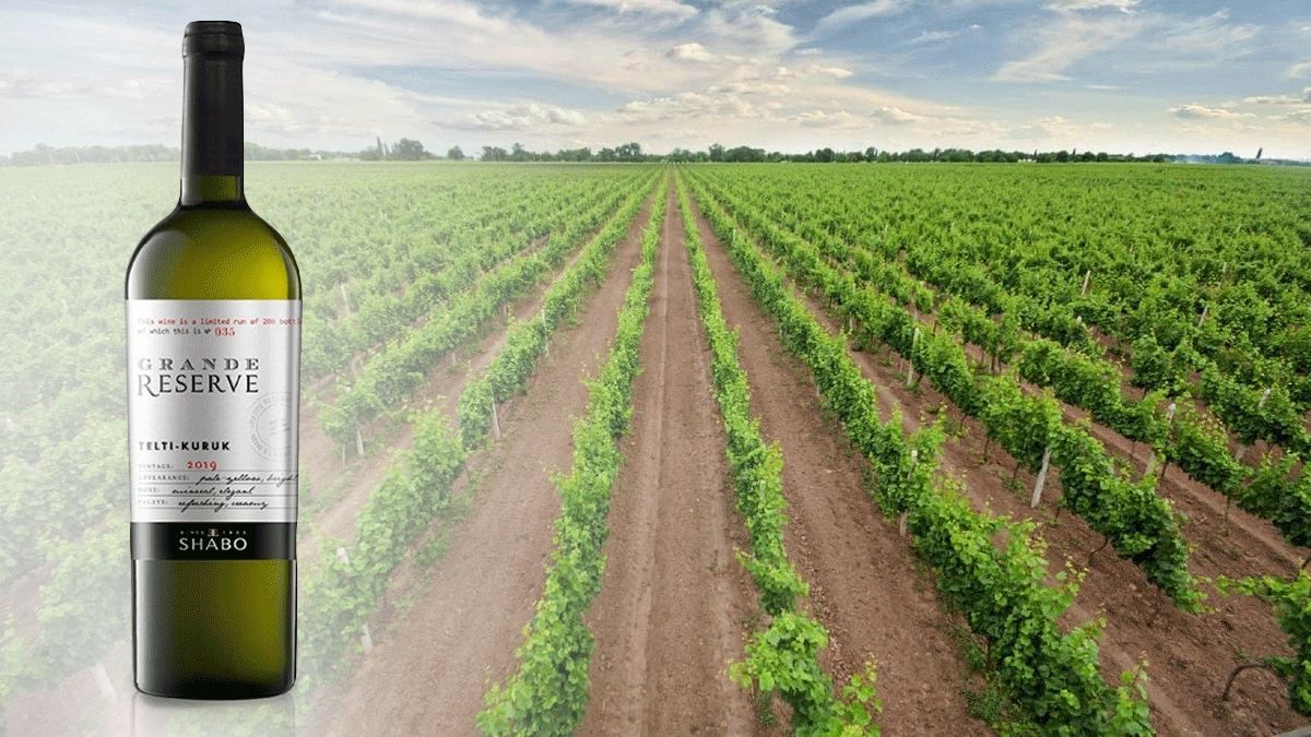 Візитна картка: SHABO Тельті-Курук Grande Reserve Візитна картка: SHABO Тельті-Курук Grande Reserve