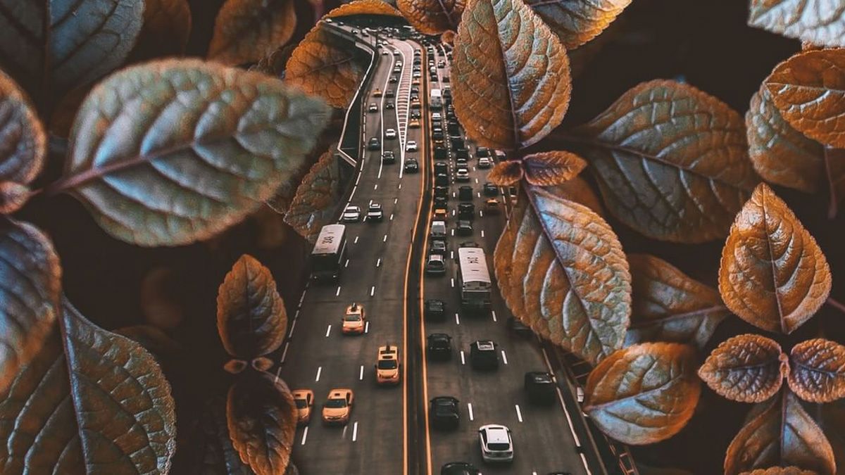 20 химерних фото від дизайнера, де поєднуються цілі світи 20 химерних фото від дизайнера, де поєднуються цілі світи