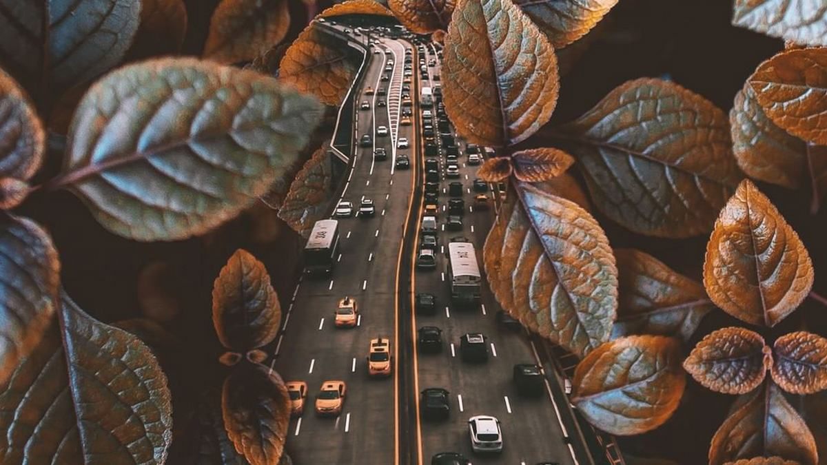 20 причудливых фото от дизайнера, где сочетаются целые миры - Life 20 причудливых фото от дизайнера, где сочетаются целые миры - Life