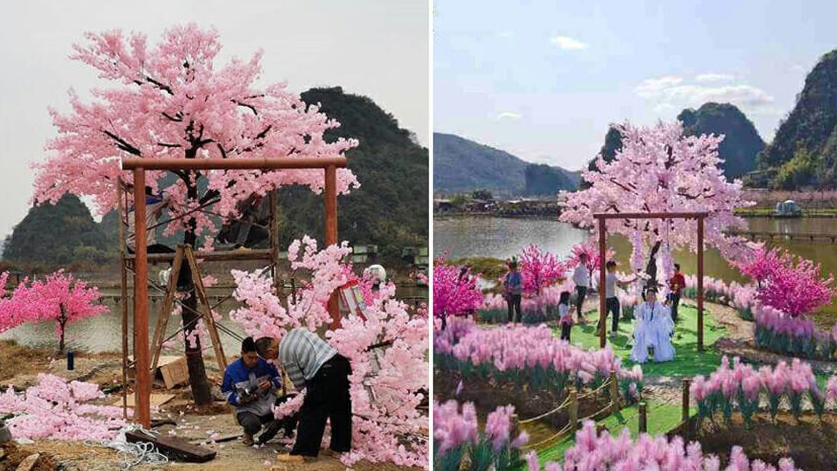 Чоловік побудував "острів", щоб повернути кохану: але все пішло не так Чоловік побудував "острів", щоб повернути кохану: але все пішло не так