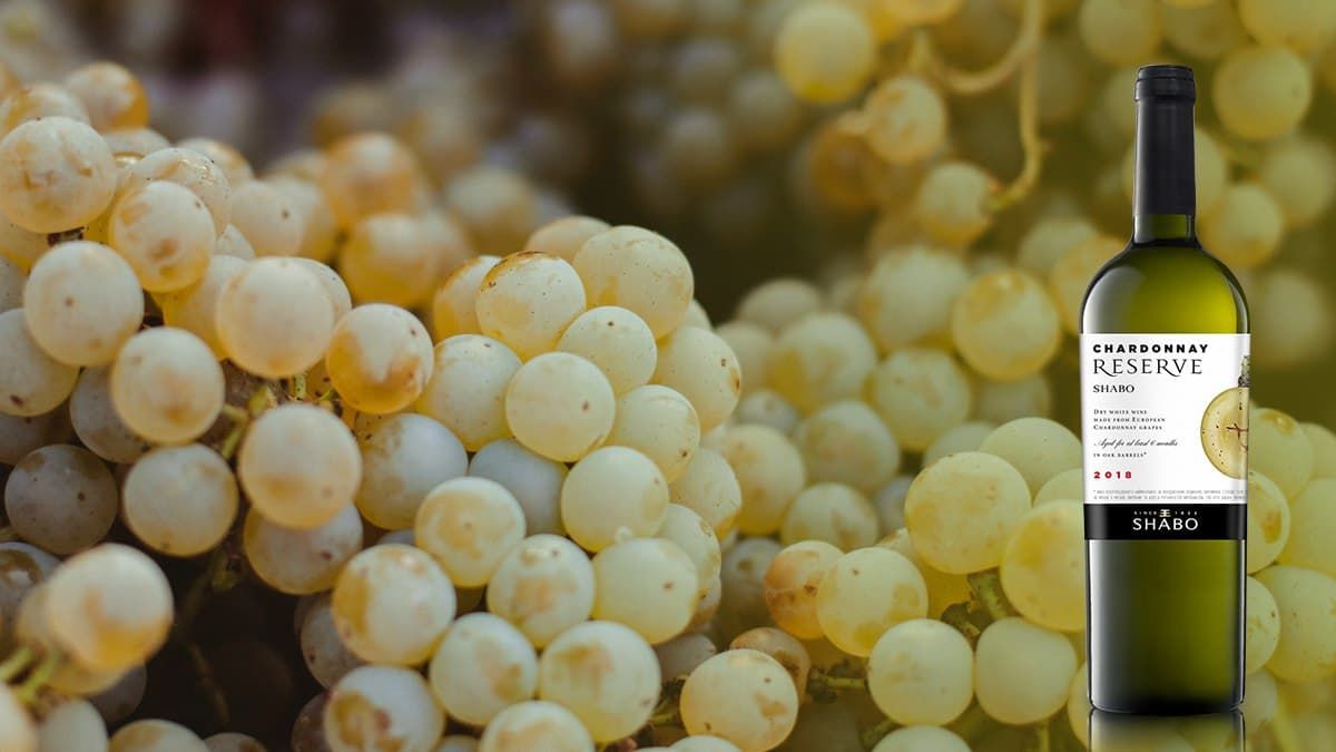 Візитна картка: SHABO Chardonnay Reserve Візитна картка: SHABO Chardonnay Reserve