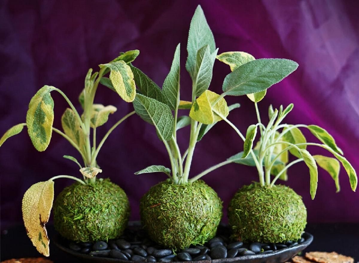 Десерти, які зовсім не схожі на їжу Десерти, які зовсім не схожі на їжу