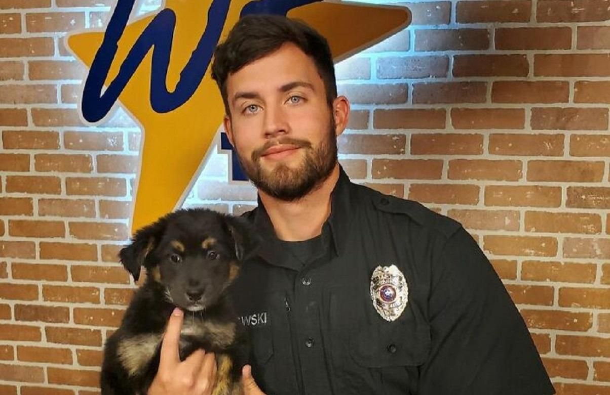 Самый привлекательный американский волонтер работает в приюте для животных - фото - Life Самый привлекательный американский волонтер работает в приюте для животных - фото - Life