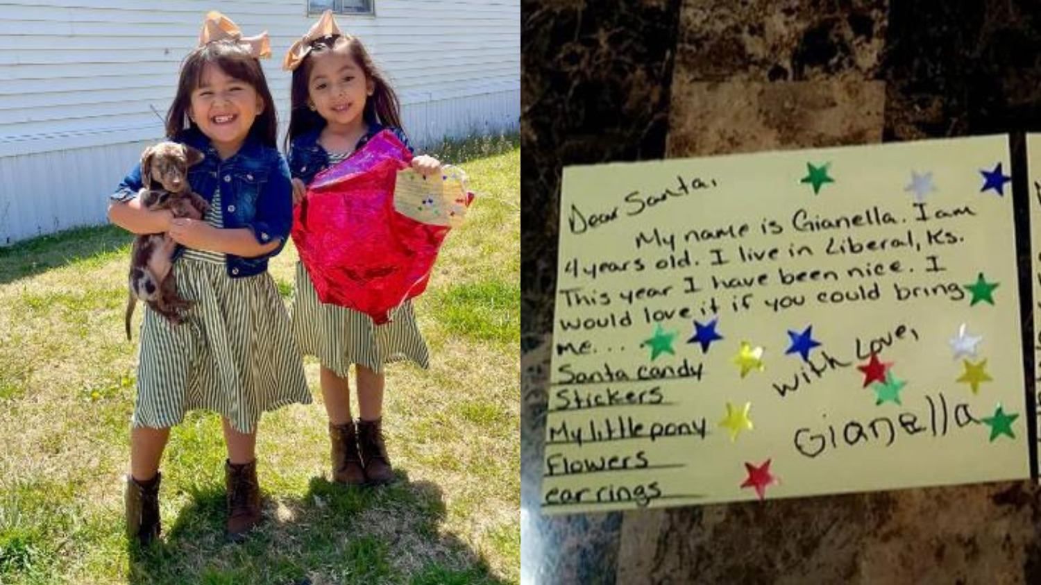 Чоловік здійснив різдвяну мрію близнючок Чоловік здійснив різдвяну мрію близнючок