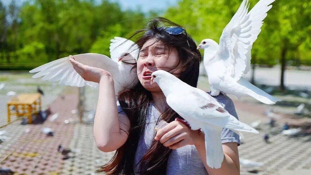 10 забавных фотографий, на которых все пошло не по плану 10 забавных фотографий, на которых все пошло не по плану