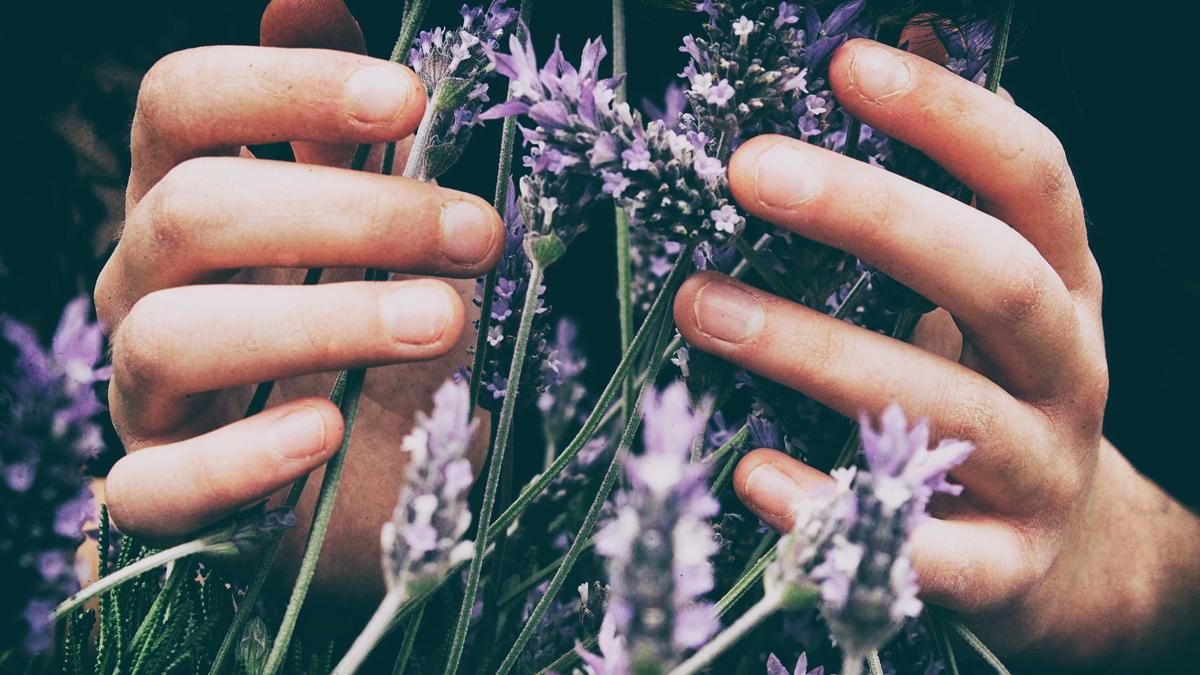 10 добрых историй со всего мира, которые поднимут вам настроение: фото 10 добрых историй со всего мира, которые поднимут вам настроение: фото