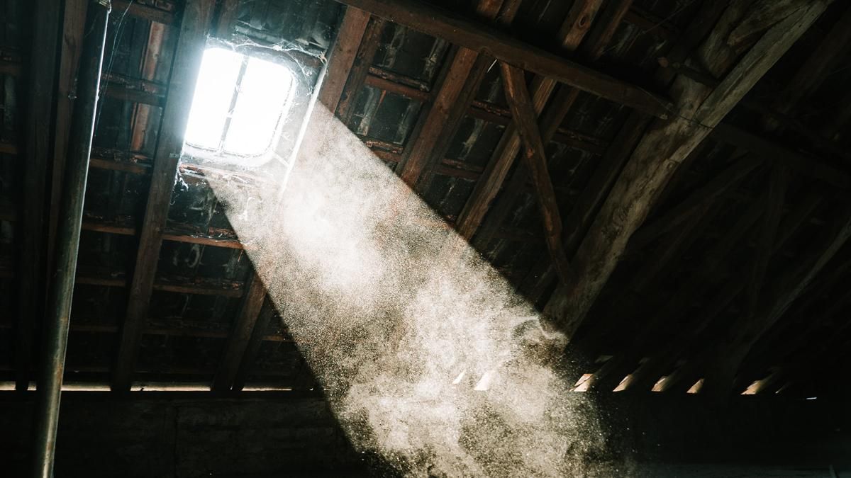 Жінка випадково знайшла таємничі візерунки на горищі свого дому: що це було Жінка випадково знайшла таємничі візерунки на горищі свого дому: що це було