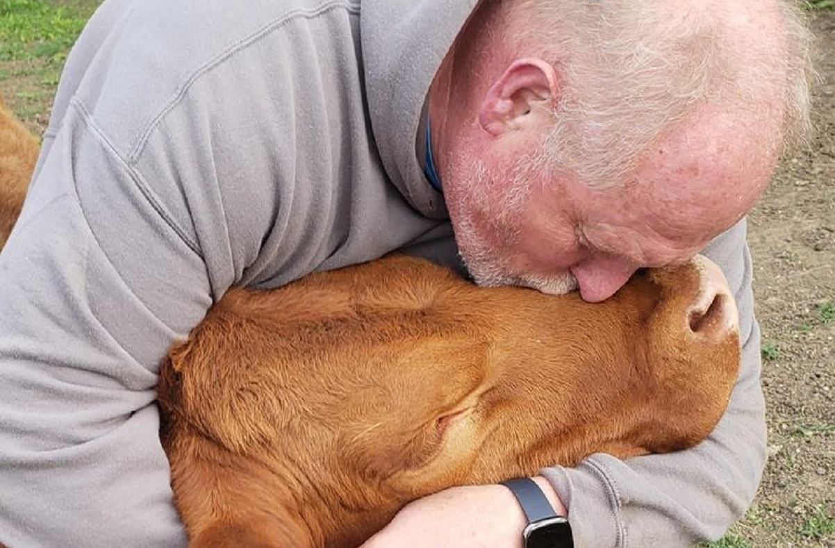 Для прекрасного настрою: 10+ щемливих фото, які змусять вас усміхнутись - Life Для прекрасного настрою: 10+ щемливих фото, які змусять вас усміхнутись - Life