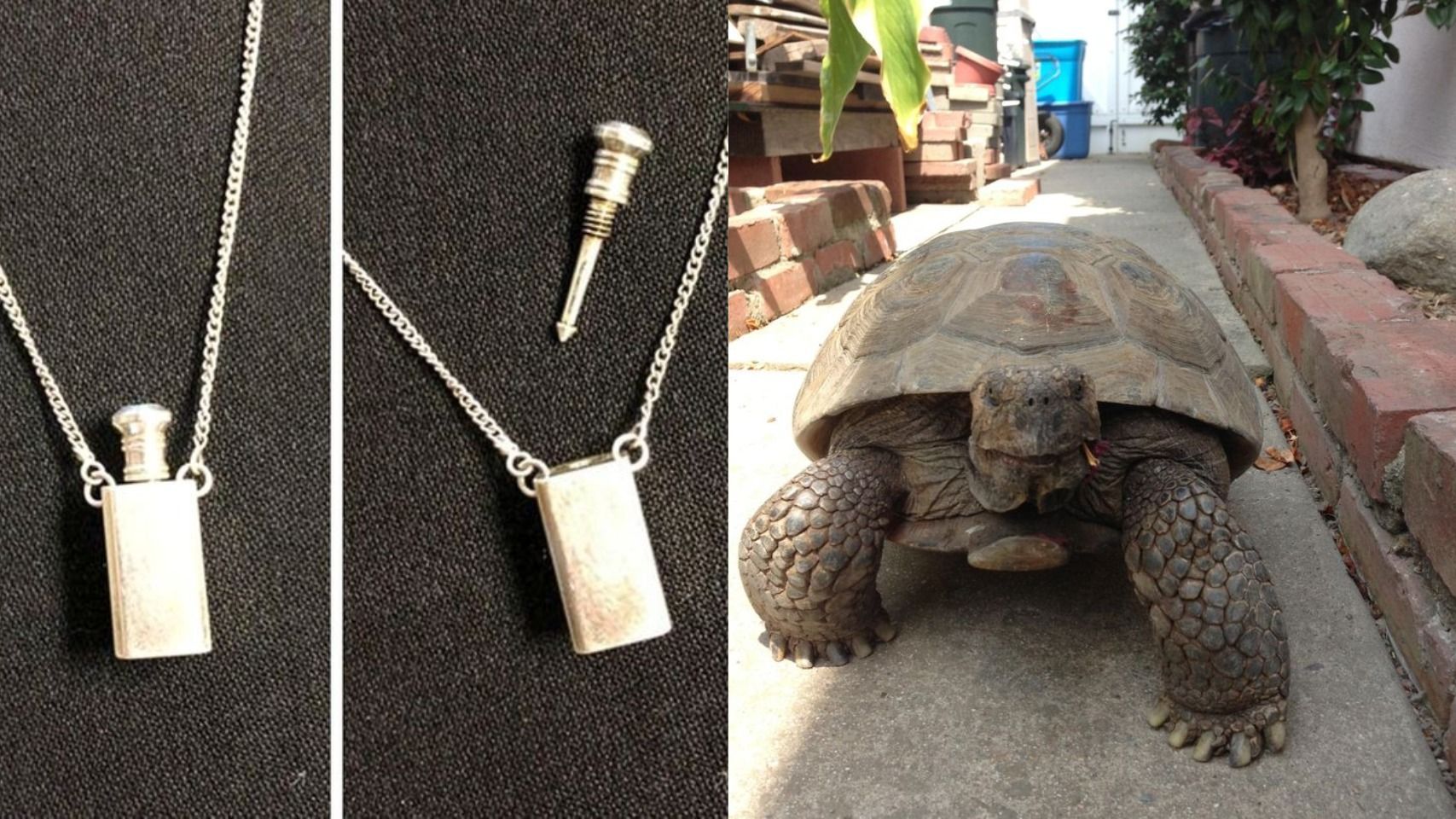 Необычные вещи, которые люди получили в наследство Необычные вещи, которые люди получили в наследство