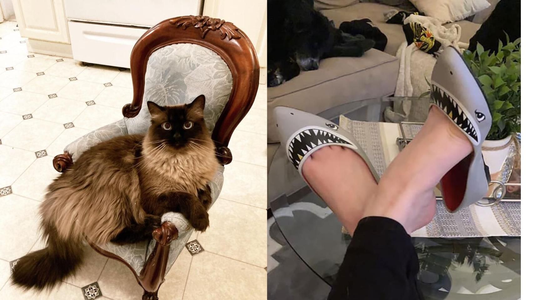 15 найкрутіших речей, які люди знаходили на барахолках 15 найкрутіших речей, які люди знаходили на барахолках