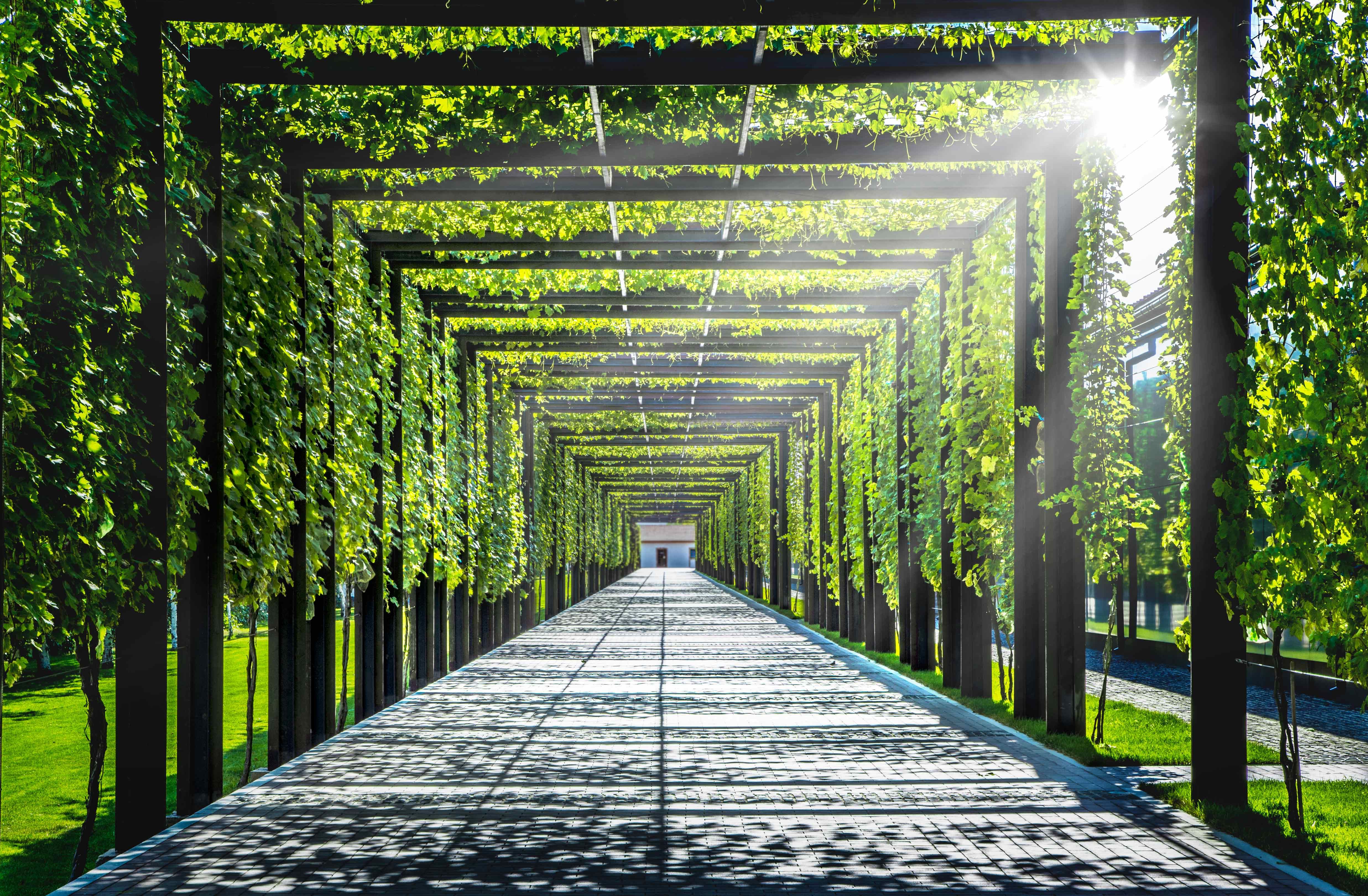 Побачити Париж та Мальдіви без виїзду за кордон: 5 місць в Україні, де ви ще не бували - Life Побачити Париж та Мальдіви без виїзду за кордон: 5 місць в Україні, де ви ще не бували - Life