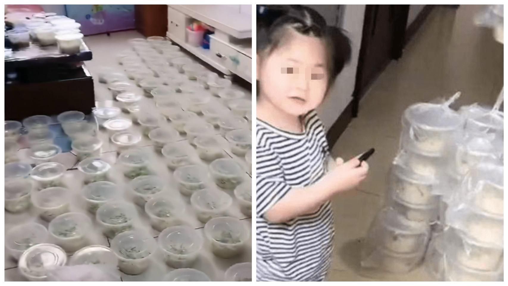 3-річна дівчинка випадково замовила 100 порцій локшини: батько був шокований - Life