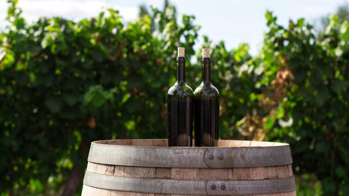 Почему в бутылке вина – обычно 750 миллилитров: интересный факт, о котором вы могли не знать Почему в бутылке вина – обычно 750 миллилитров: интересный факт, о котором вы могли не знать