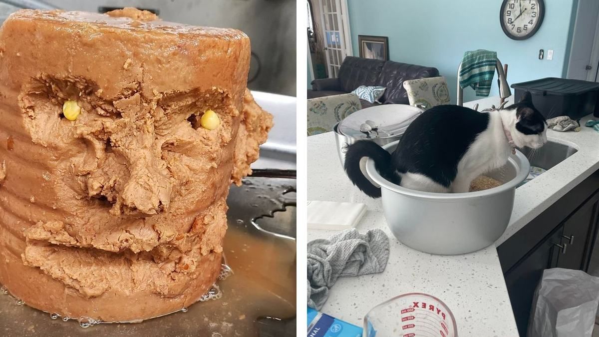 Не повезло: 15 людей, которые знают, что такое настоящий кулинарный провал – фото Не повезло: 15 людей, которые знают, что такое настоящий кулинарный провал – фото