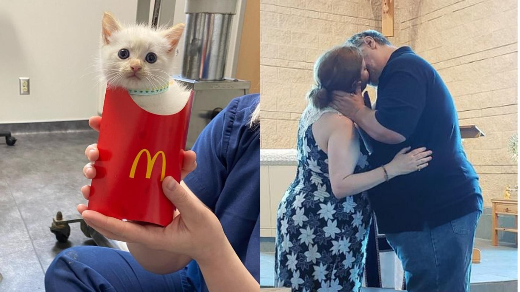 10+ випадкових зворушливих кадрів 10+ випадкових зворушливих кадрів