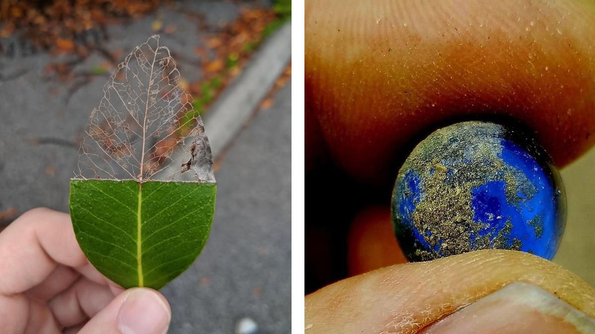 Оце пощастило: 15 фотографій, на яких люди зафіксували щось унікальне Оце пощастило: 15 фотографій, на яких люди зафіксували щось унікальне