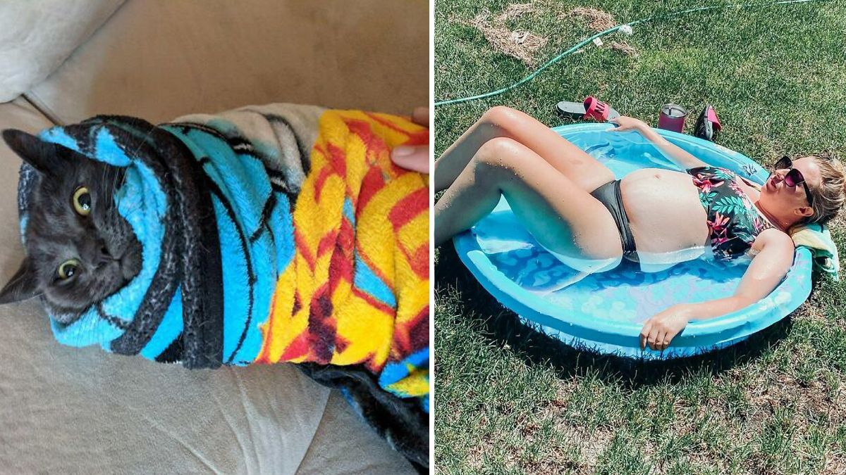 Беременные поделились забавными моментами со своей жизни: фото Беременные поделились забавными моментами со своей жизни: фото