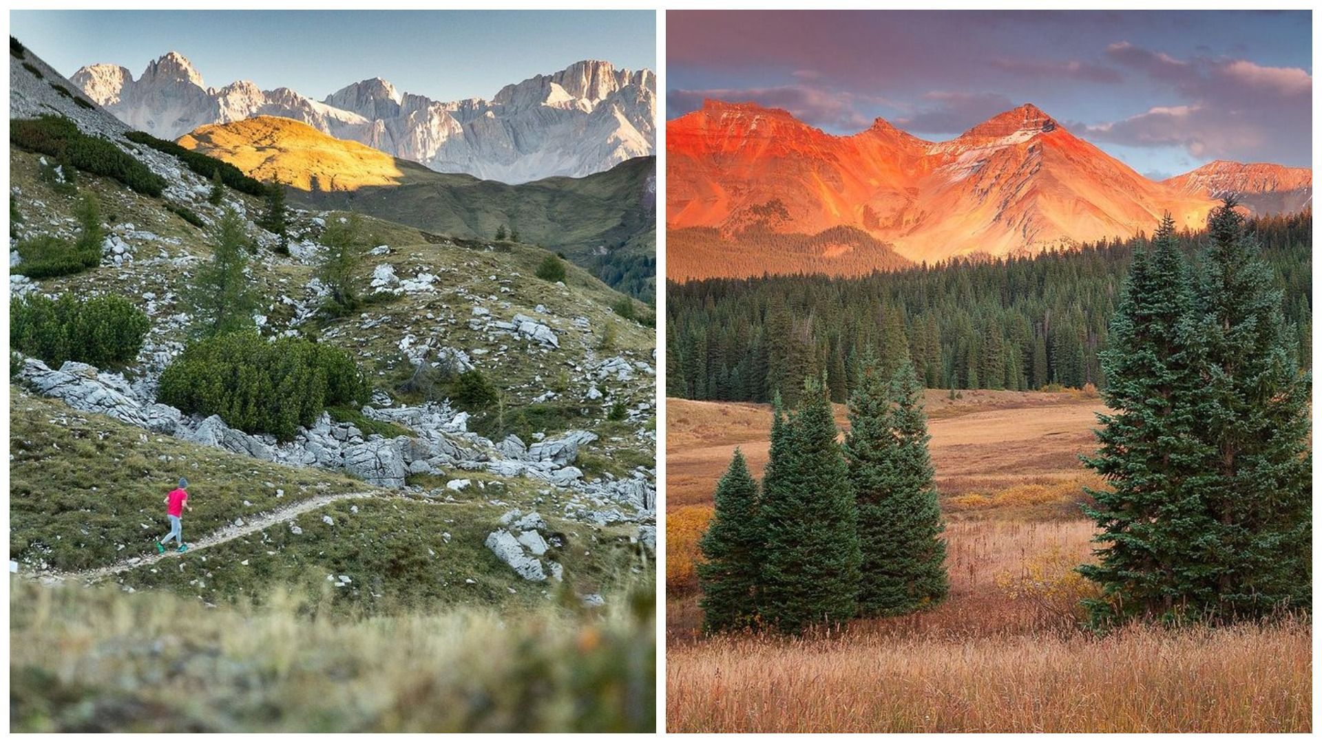 Как сделать лучшие кадры природы: 5 подсказок от успешного фотографа Как сделать лучшие кадры природы: 5 подсказок от успешного фотографа