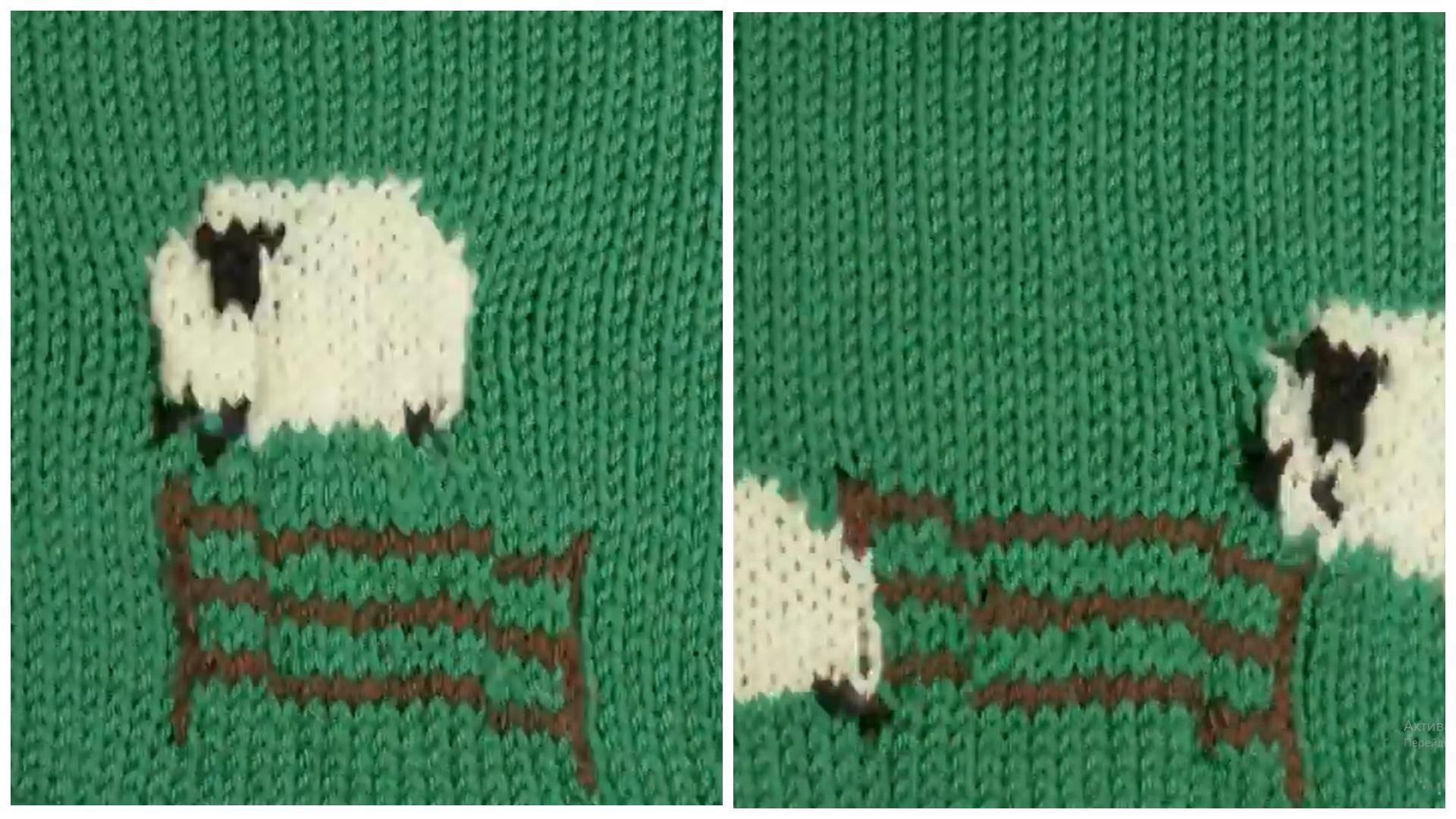 Художниця створила кумедну анімацію з овечками, використовуючи в'язані картинки - Life Художниця створила кумедну анімацію з овечками, використовуючи в'язані картинки - Life