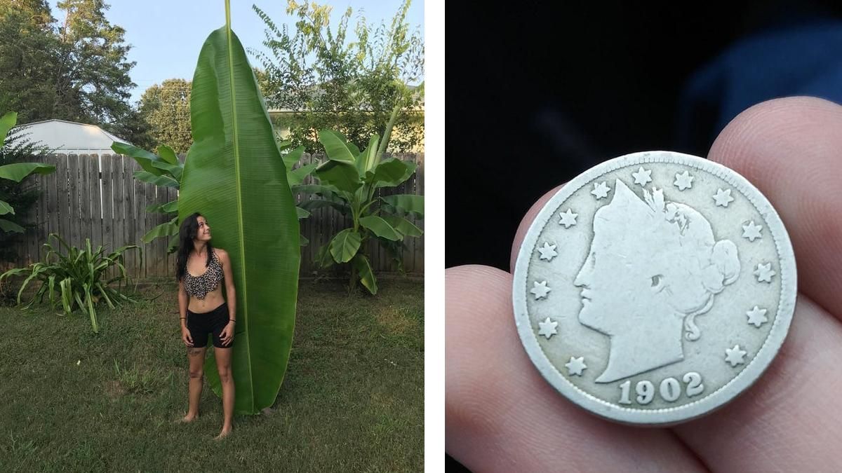 Удивительно: 10+ людей, которые сфотографировали действительно уникальные вещи Удивительно: 10+ людей, которые сфотографировали действительно уникальные вещи