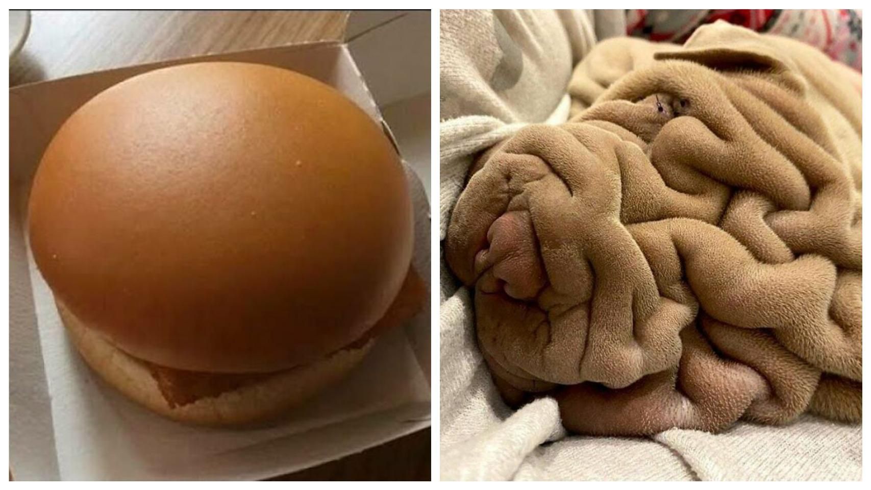 15 фото, які вводять в оману глядачів: варто лише змінити їх опис - Life 15 фото, які вводять в оману глядачів: варто лише змінити їх опис - Life