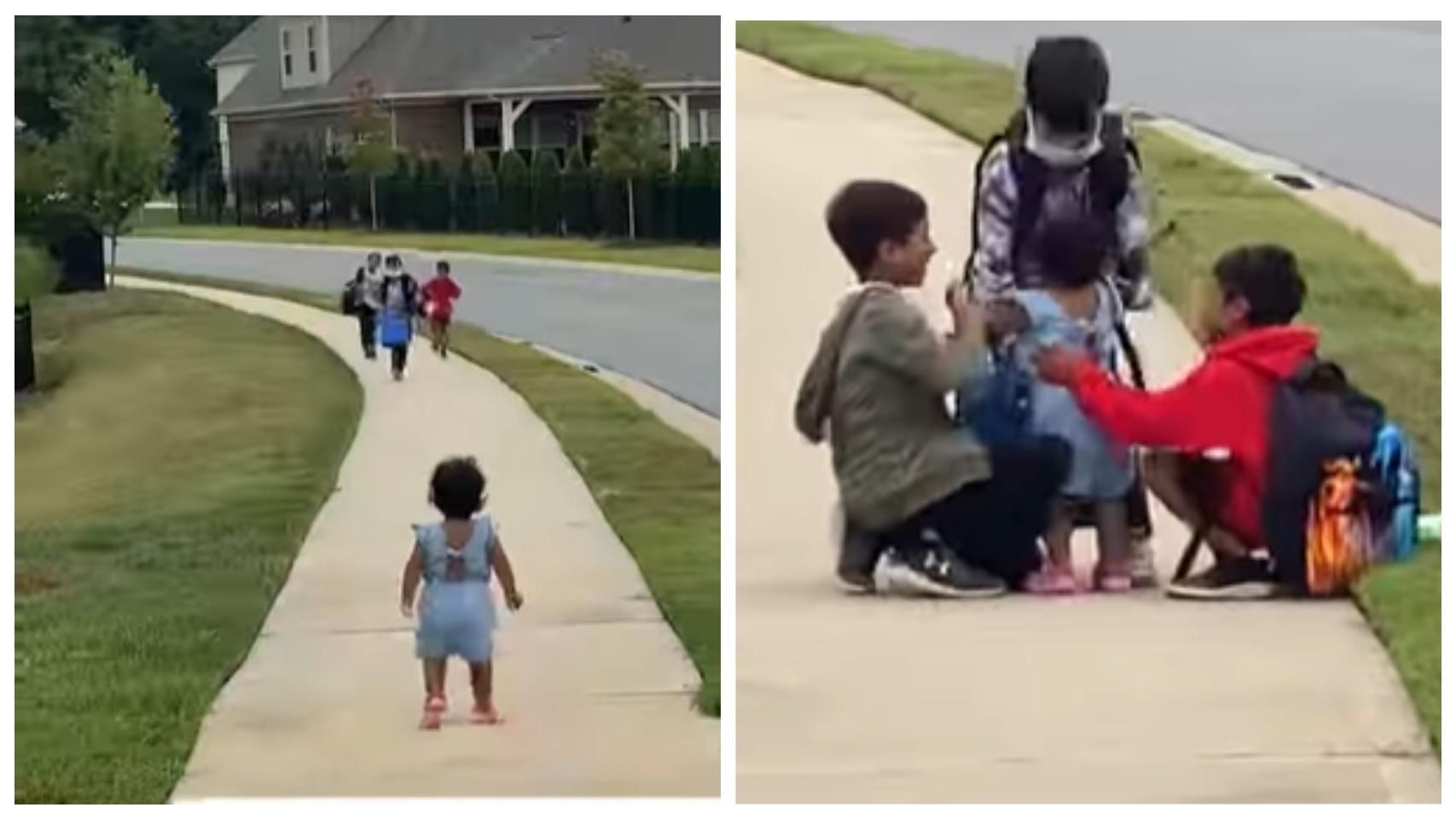 Маленька сестричка щодня зустрічає братів зі школи: відео розчулило мережу - Life
