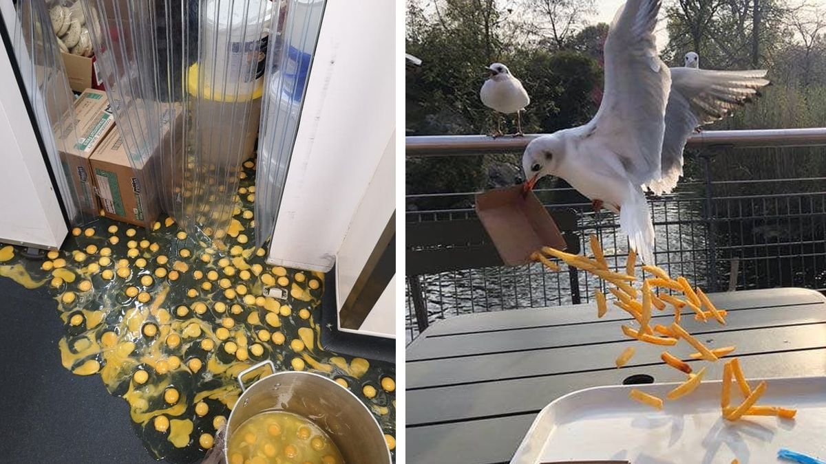 Оце так невдачі: 10 випадків, коли людям кумедно не пощастило Оце так невдачі: 10 випадків, коли людям кумедно не пощастило