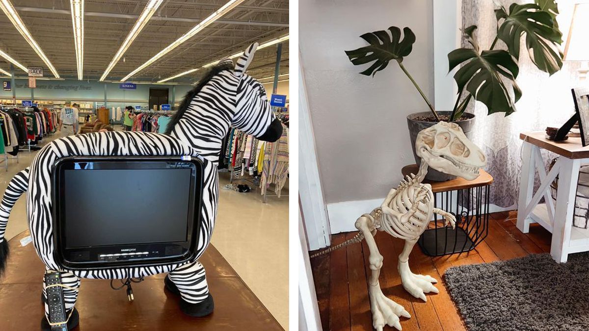 Что это такое: 10 оригинальных вещей, которые люди нашли на секонд-хендах Что это такое: 10 оригинальных вещей, которые люди нашли на секонд-хендах