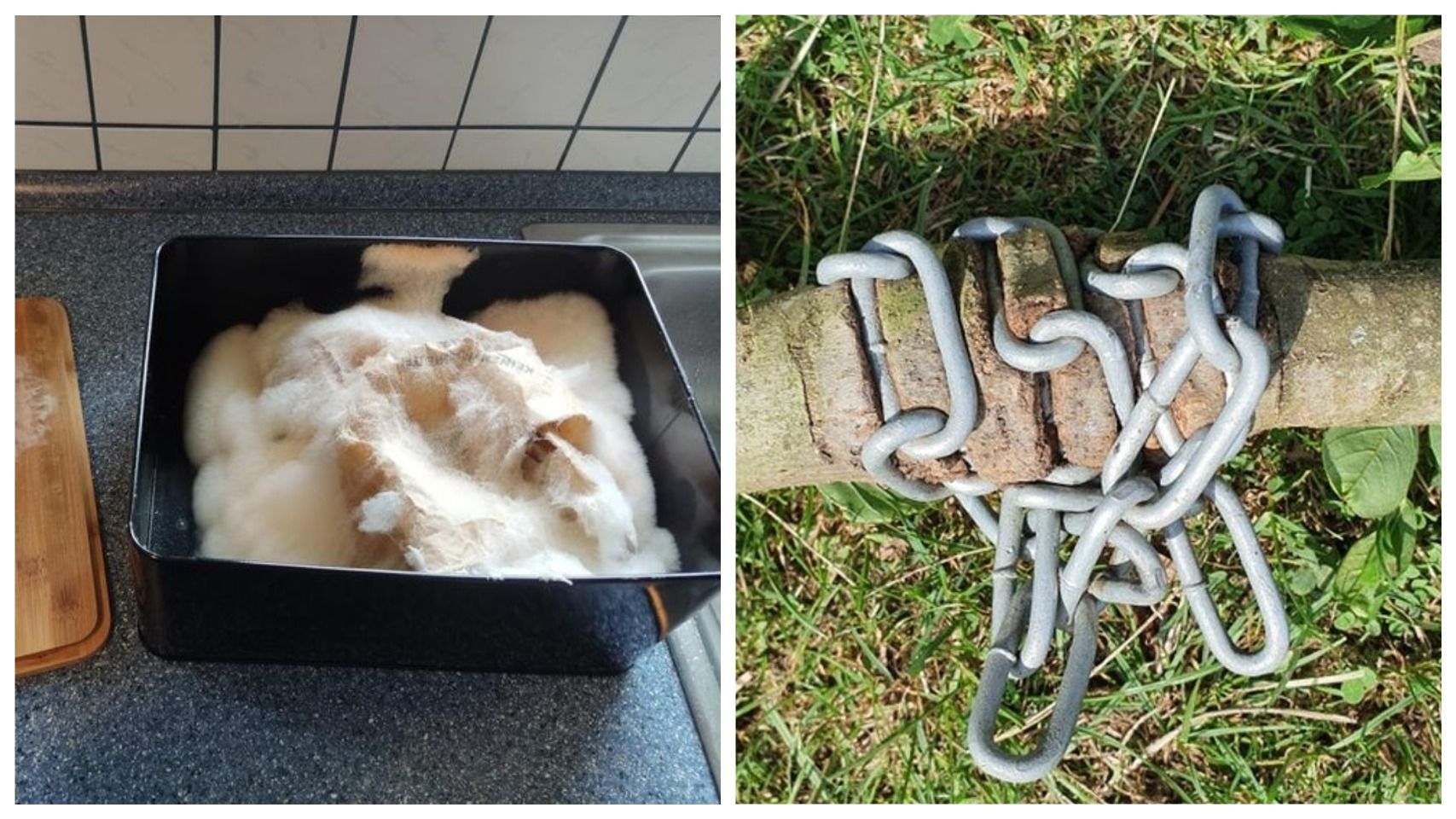 Подборка разных предметов, о которых забыли на дни, недели или месяцы: 15 ярких примеров - Life Подборка разных предметов, о которых забыли на дни, недели или месяцы: 15 ярких примеров - Life