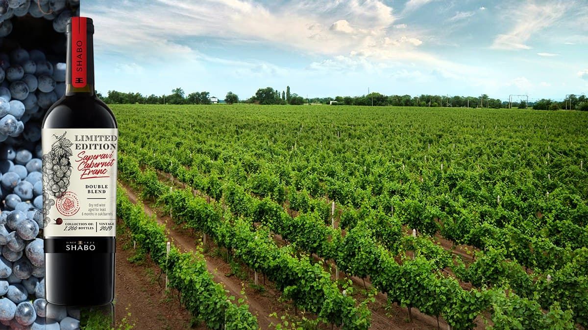 Визитная карточка: SHABO Limited Edition Саперави-Каберне Фран - Life Визитная карточка: SHABO Limited Edition Саперави-Каберне Фран - Life