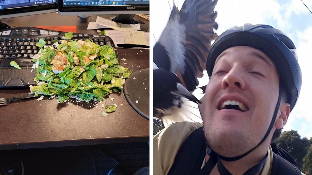 10 забавных неудач, которые случились с людьми в самый неожиданный момент 10 забавных неудач, которые случились с людьми в самый неожиданный момент