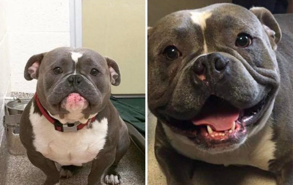 Вызывает улыбку: 10+ впечатляющих фото "до – после", которые вдохновляют - Life Вызывает улыбку: 10+ впечатляющих фото "до – после", которые вдохновляют - Life