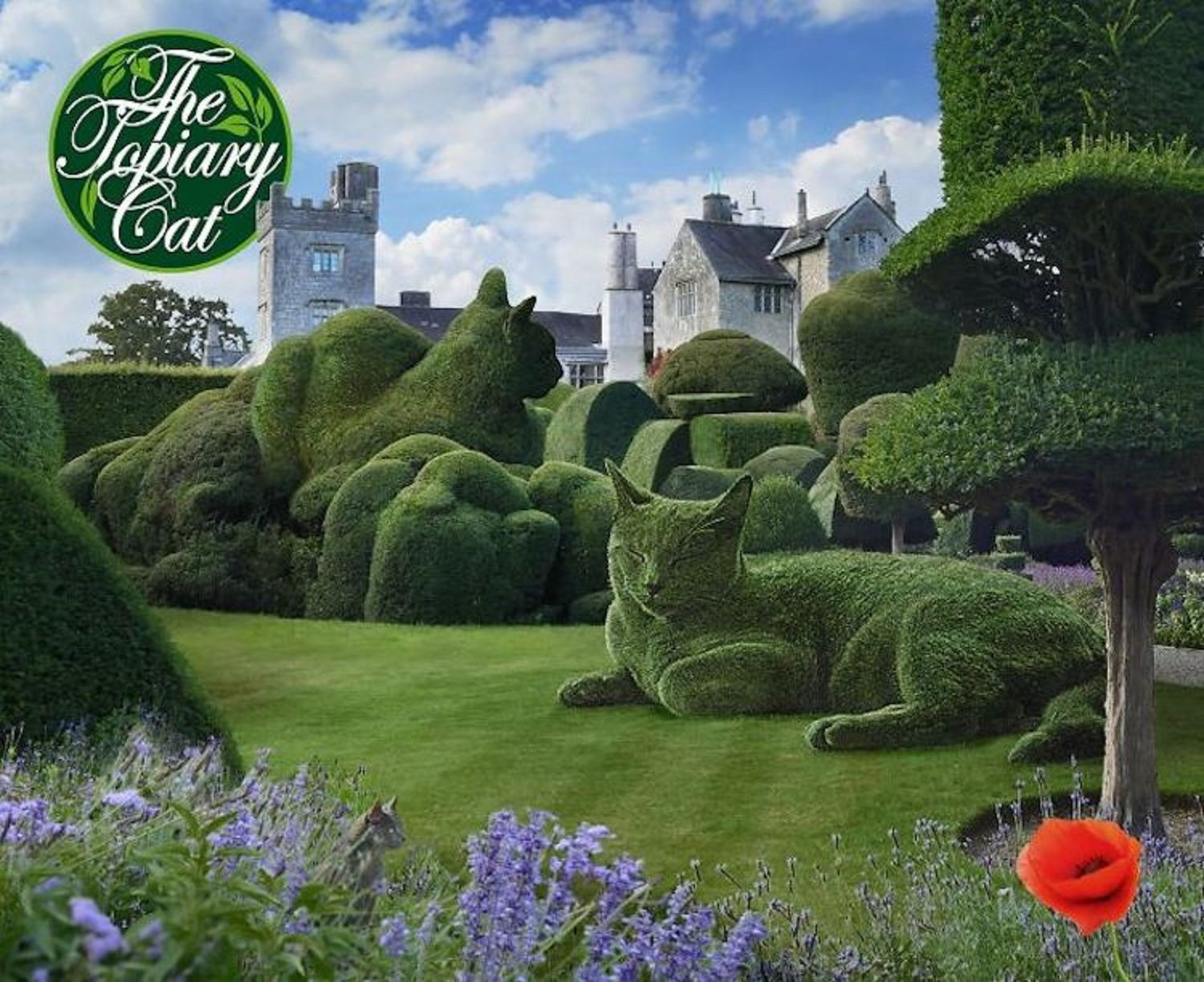 75-річний художник присвячує своєму померлому коту віртуальні садові скульптури - Life 75-річний художник присвячує своєму померлому коту віртуальні садові скульптури - Life