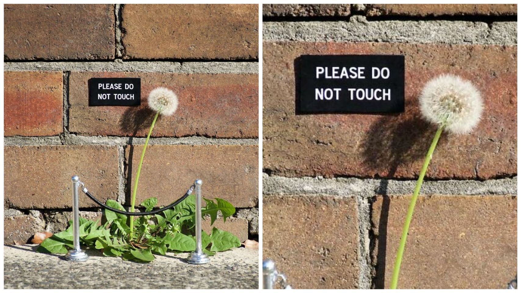 Художник создает забавные уличные инсталляции, которые трудно заметить: они просто крохотные - Life Художник создает забавные уличные инсталляции, которые трудно заметить: они просто крохотные - Life