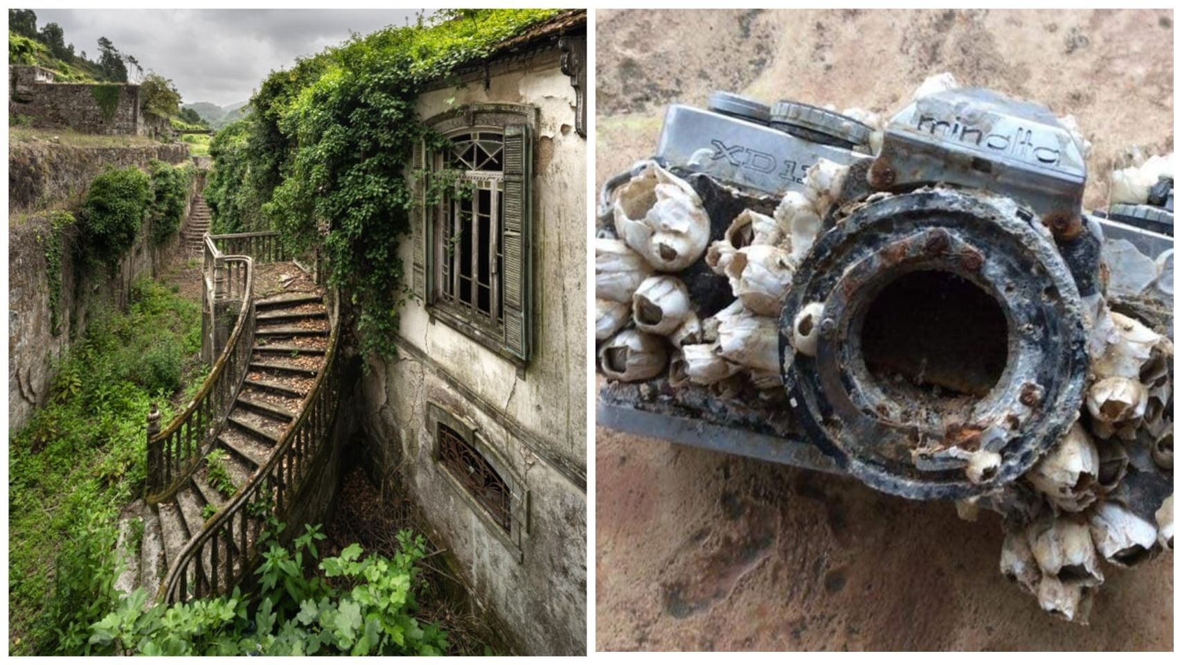 Місця без людей: 15 дивовижних фото, на яких природа повернула собі контроль - Life Місця без людей: 15 дивовижних фото, на яких природа повернула собі контроль - Life