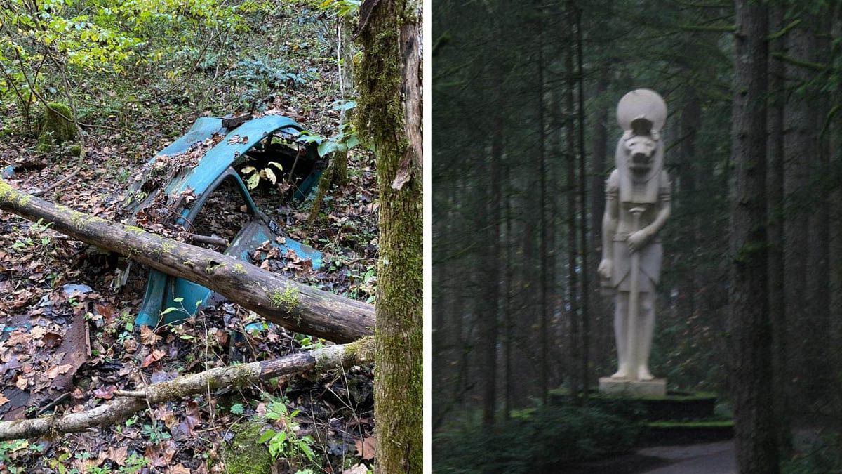 Несподівана краса: 10 цікавих знахідок в лісі, які здивували людей - Life Несподівана краса: 10 цікавих знахідок в лісі, які здивували людей - Life