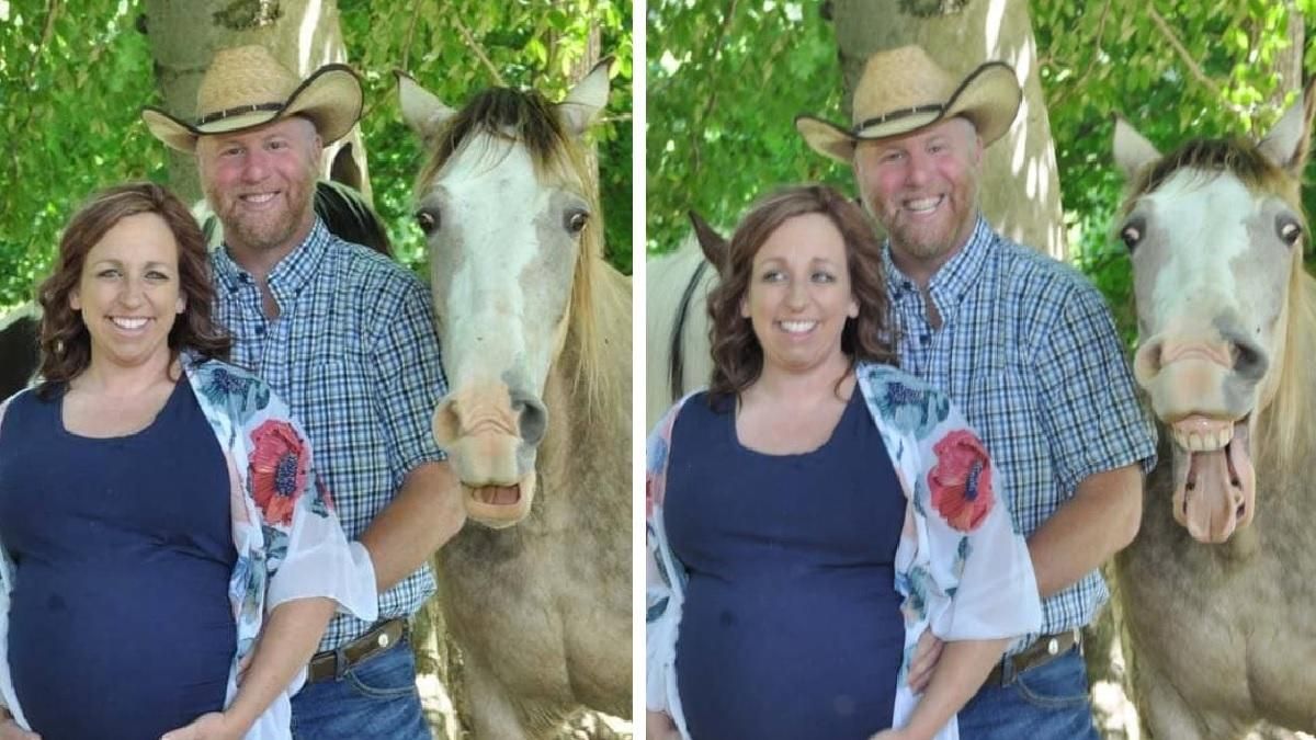 Фотосессия не удалась: лошадь испортила семейные фотографии пари - Life