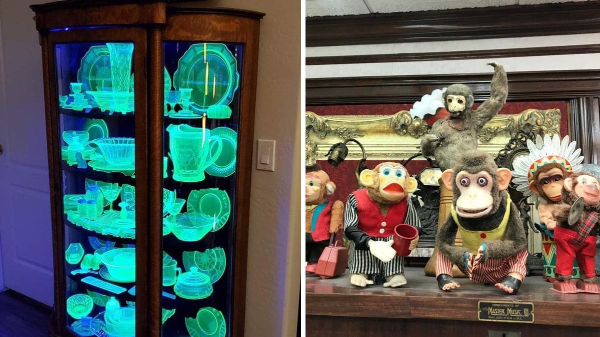 Як вони це знайшли: 10 оригінальних колекцій, які вас здивують Як вони це знайшли: 10 оригінальних колекцій, які вас здивують