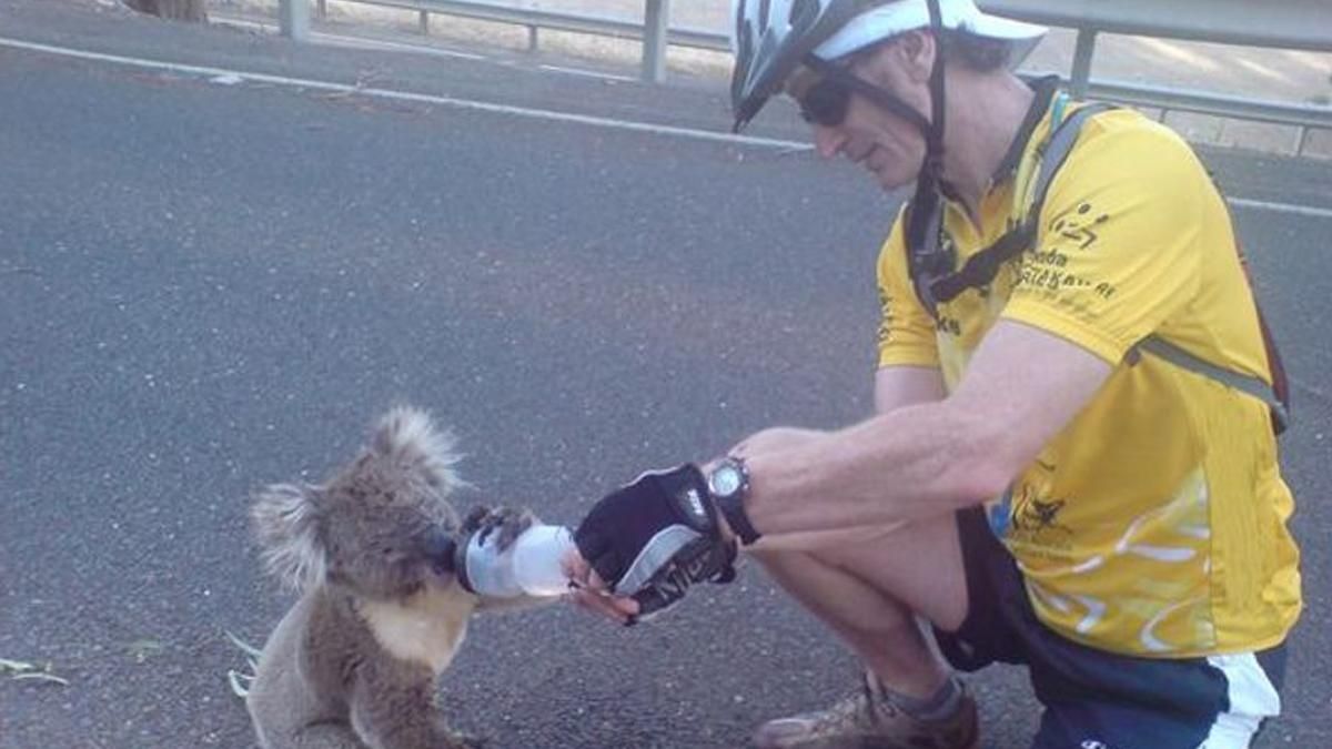 Робіть добро: 10 зворушливих вчинків від людей з усього світу Робіть добро: 10 зворушливих вчинків від людей з усього світу